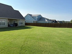 Freshly mowed backyard