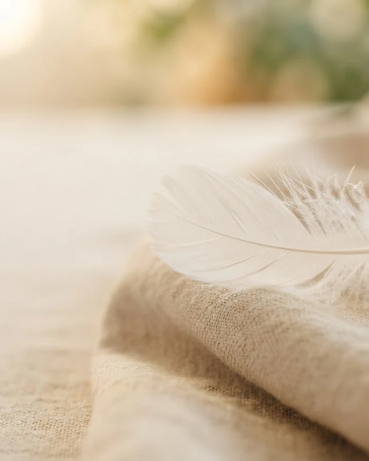 A soft white feather resting on warm linen