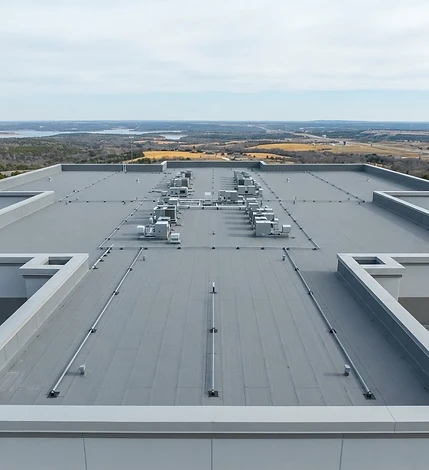 Roof + Soft Wash