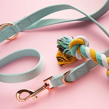 Dog Supplies