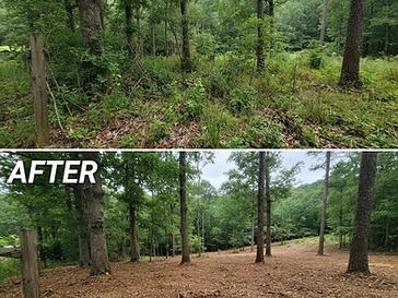 Laurel Hollow Homesite — before and after clearing