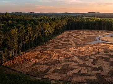 Elk Creek Pasture — before and after clearing
