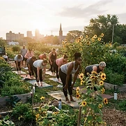 Garden construction