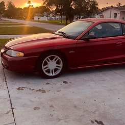 4.6 SN95 — golden hour, golden line.