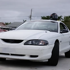5.0 SN95 — daylight recon.