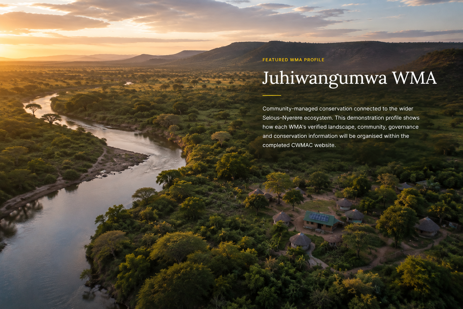 Tanzanian conservation landscape representing community-managed natural resources.