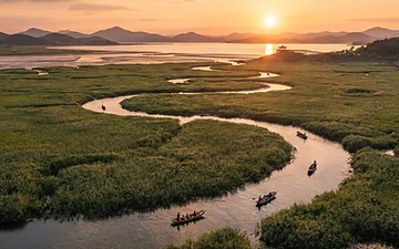 Suncheon Bay wetland at golden sunset