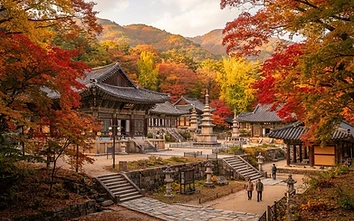 Gyeongju Day Trip
