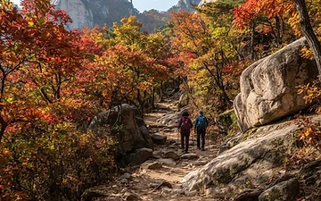 Forested hiking trail on Bukhansan with granite boulders