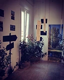 Fotografie di parole — installazione