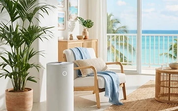 Air intérieur aux Antilles : cinq gestes simples
