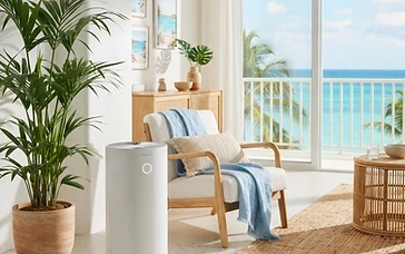 Illustration du guide : Air intérieur aux Antilles : cinq gestes simples