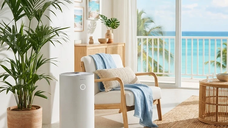 Air intérieur aux Antilles : cinq gestes simples