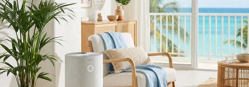 Purificateur d’air dans un salon antillais lumineux