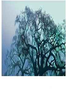 Roots in the dark