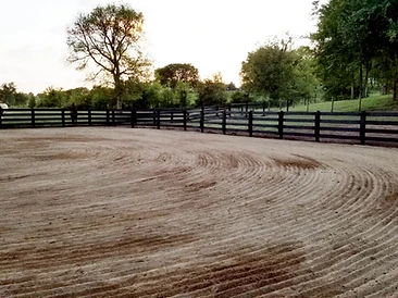 Riding Arena at Golden Hour