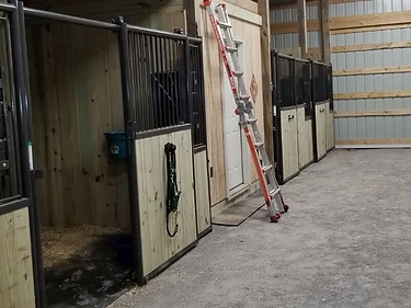 Horse Stalls, Arena & Fence