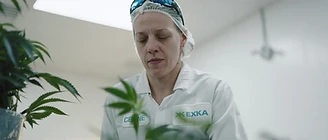 An EXKA technician at work among the plants
