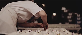 A chef finishing plates by hand