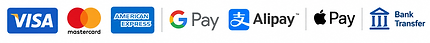 Accepted payment methods — Visa, Mastercard, American Express, Google Pay, Alipay, Apple Pay, Bank Transfer