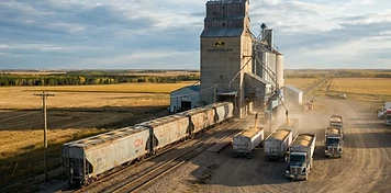 Grain elevators and loaded hopper rail cars on a northeast Saskatchewan rail line at Tisdale