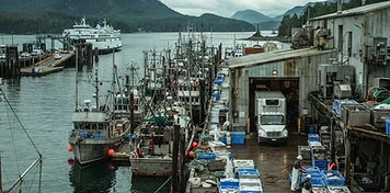 Commercial fishing, seafood processing and ferry services in Port Hardy, BC