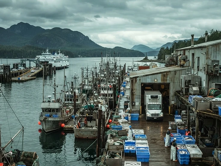 Commercial fishing, seafood processing and ferry services in Port Hardy, BC