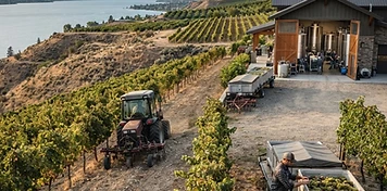 Vineyard, winery and trades businesses in West Kelowna, BC