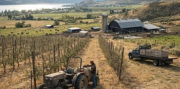 Orchard, dairy and trades businesses in Vernon, BC