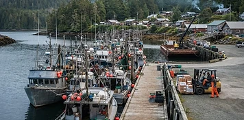 Fishing fleet, ferry services and remote-logistics businesses in Daajing Giids, BC