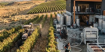 Vineyard and wine-production businesses in Oliver, BC