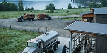Dairy farms, orchards and trades businesses in Salmon Arm, BC