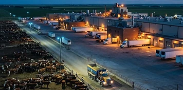 Beef processing plant with refrigerated trailers and feedlot pens with cattle near Brooks at dusk