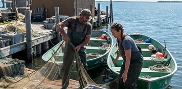 Fishers hauling nets and crates of fresh catch at a bright Lake Winnipeg harbour dock