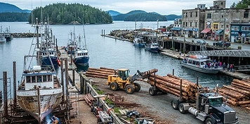 Working harbour, marine and tourism businesses in Powell River, BC