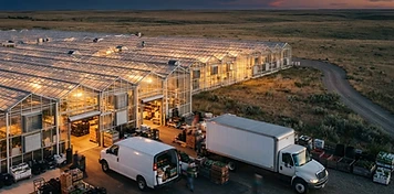 Commercial greenhouse range with delivery trucks on the Trans-Canada corridor in Redcliff, Alberta