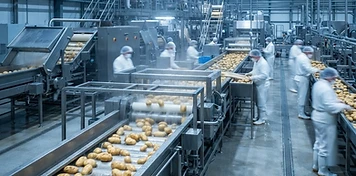 Stainless processing lines inside a modern potato processing facility