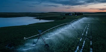Centre-pivot irrigation system watering farmland near Lake Diefenbaker at dusk