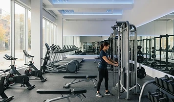Modern fitness business interior with unbranded equipment before opening