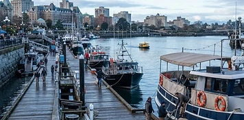Inner Harbour, whale-watching vessels and downtown businesses in Victoria, BC