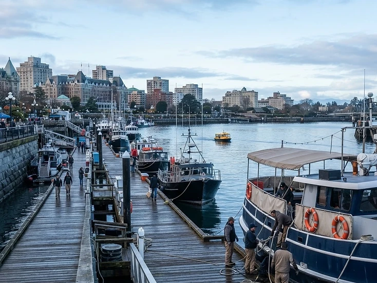 Inner Harbour, whale-watching vessels and downtown businesses in Victoria, BC