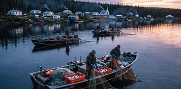 Commercial fishing boats with gill nets and fish totes on a calm northern lake at dawn, a Métis lake community on the shoreline behind