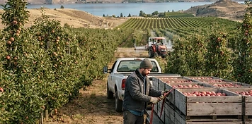 Orchards, vineyards and lake-resort businesses in Kelowna, BC