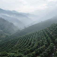 Guatemala Huehuetenango
