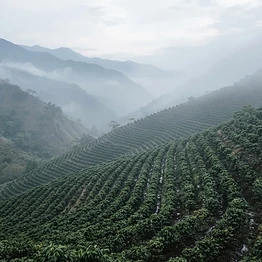 Guatemala Huehuetenango