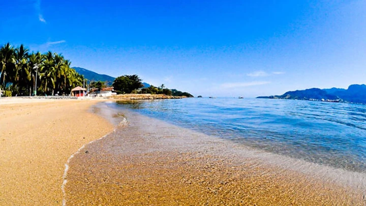 Praia ensolarada em Ilhabela com palmeiras e mar calmo