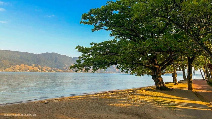 Linha de árvores na praia de Ilhabela com montanhas ao fundo