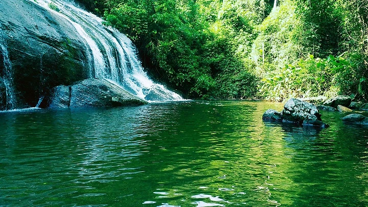 Cachoeira na mata atlântica de Ilhabela