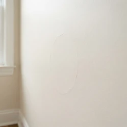 Drywall / Paint