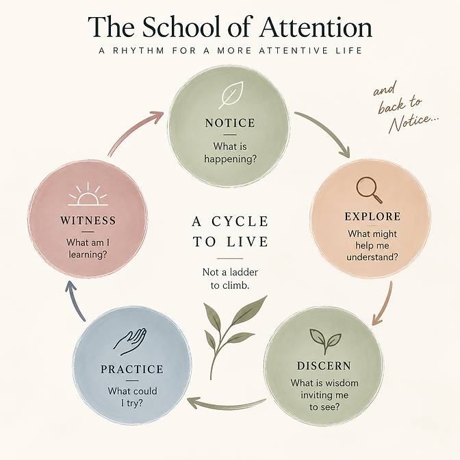 The School of Attention: a continuous cycle of Notice, Explore, Discern, Practice, and Witness, returning to Notice
